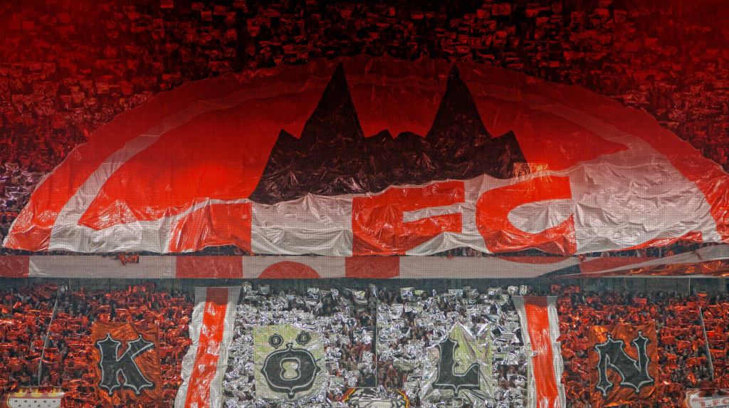 News 1fc Köln News 1fc Köln