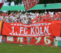 Großer 1. FC Köln Schal