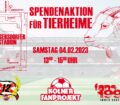Flyer Spendenaktion Tierheime