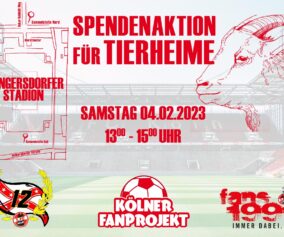 Flyer Spendenaktion Tierheime