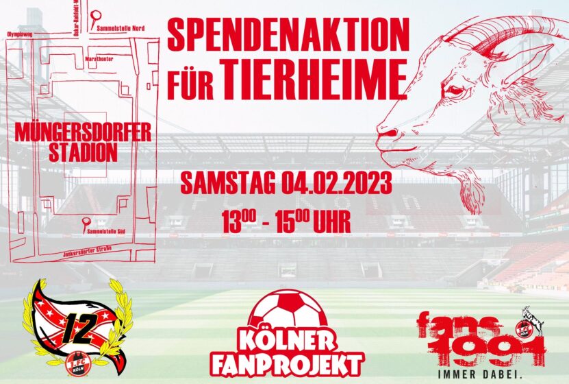 Flyer Spendenaktion Tierheime